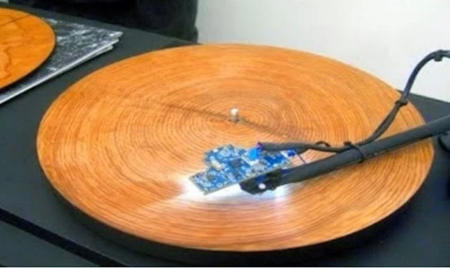 Απίστευτο βίντεο! Ακούστε τί μουσική βγάζει ένας δακτύλιος δέντρου και θα μείνετε άφωνοι